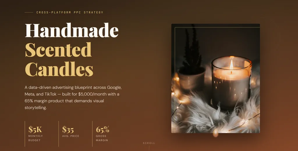 the demo of Ecommerce PPC Strategy Planner