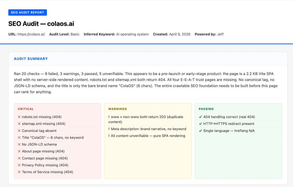 seo-audit-demo