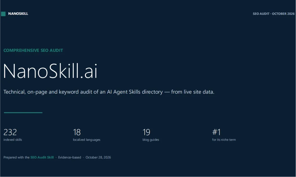the demo of SEO Audit Skill