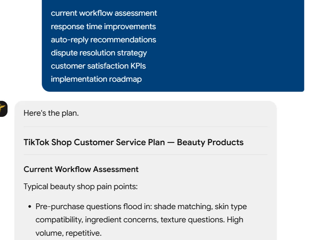 a simple demonstration of the second step in using TikTok Shop Customer Service Skill