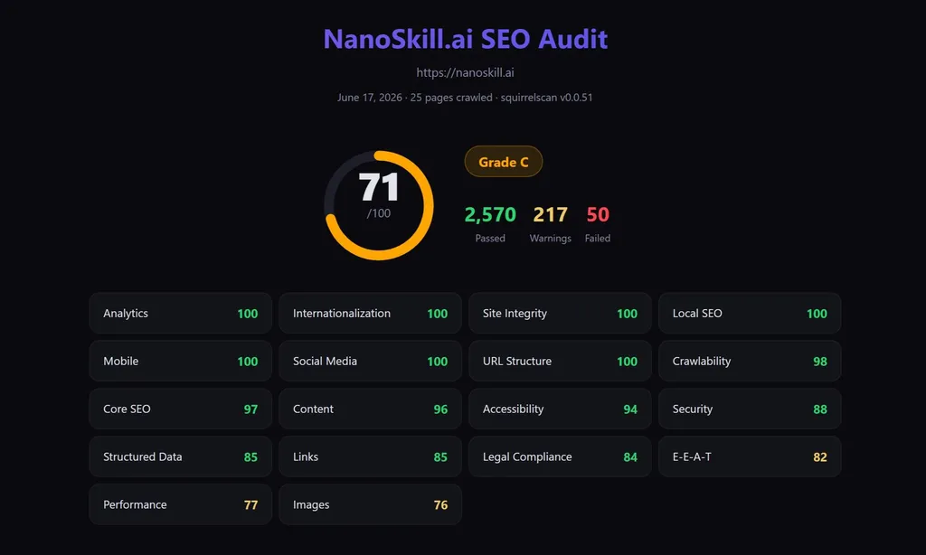 the demo of Website Audit Agent Skill