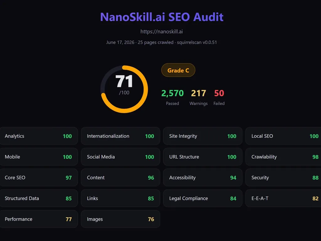 a simple demonstration of the third step in using Website Audit